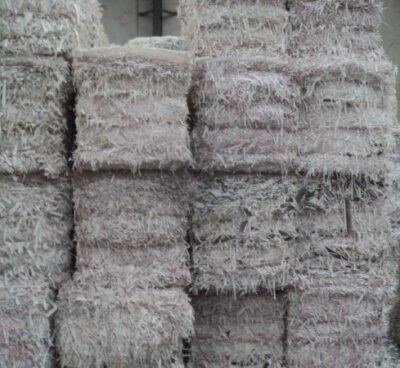 Flyleaf Shavings FS